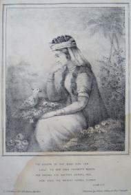 Lajla Al Amirija