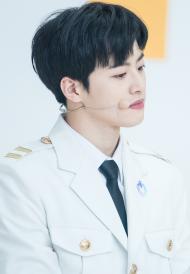 Feeldog